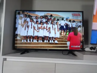 TV LG 43 pulgadas 43LF510V