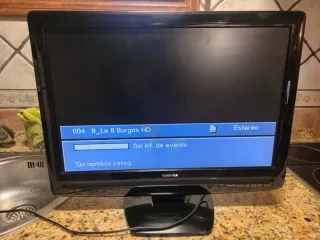 Monitor TV Toshiba Negro/Gris.