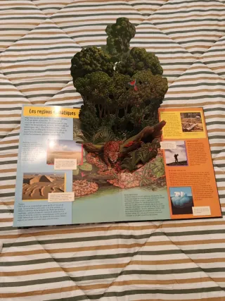 Terra, la vida d'un planeta (libro en 3D)