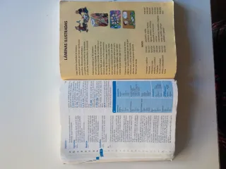 Diccionario de Primaria (Spanish and English Ed...