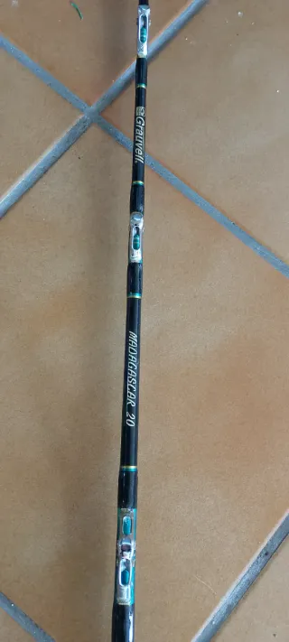 Caña de curri para pesca