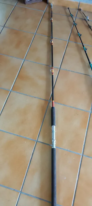 Caña de curri para pesca