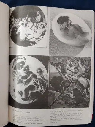 VIDA SECRETA DE SALVADOR DALÍ, CATALÁN