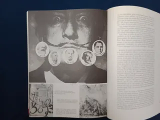 VIDA SECRETA DE SALVADOR DALÍ, CATALÁN