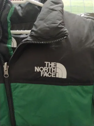Chaqueta The North Face Negra y Verde