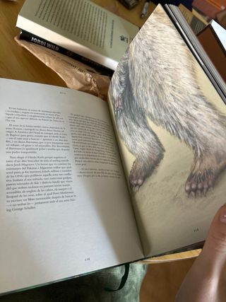 Mite, vida i extinció.: (Ed. especial amb mapa)