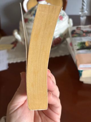 De los amores negados