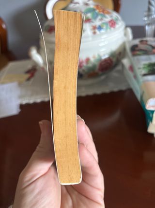 Los caracoles no saben que son caracoles