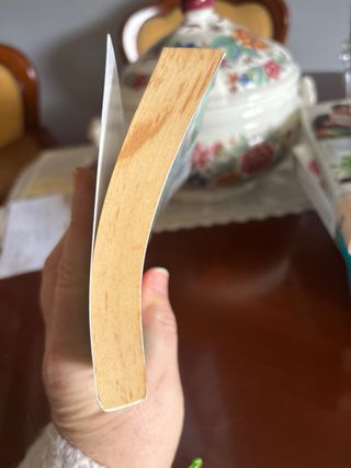 Los caracoles no saben que son caracoles