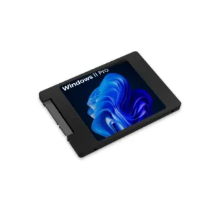 SSD con Windows 11 incluso