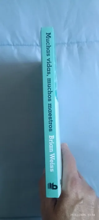 Muchas vidas, muchos maestros