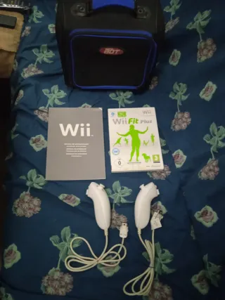 LOTE JUEGO,2 NUNCHUK, INSTRUCCIONES....NINTEDO WII