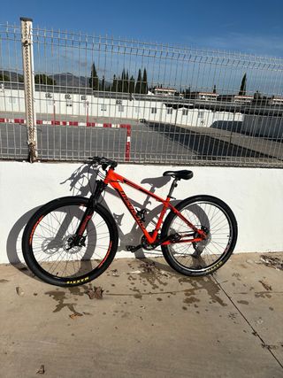 Bicicleta Megamo 29