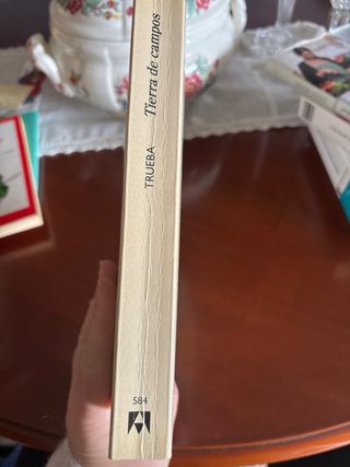 Tierra de campos (Spanish Edition)