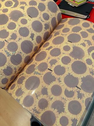 Álbumes de fotos profesionales