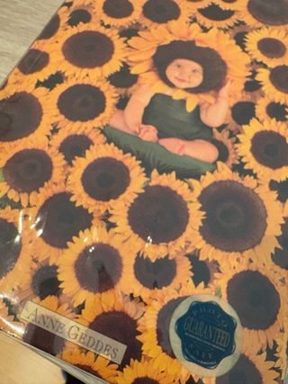 Álbumes de fotos profesionales