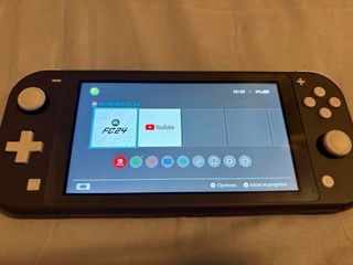 Nintendo Switch Lite Gris
