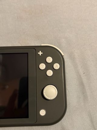 Nintendo Switch Lite Gris