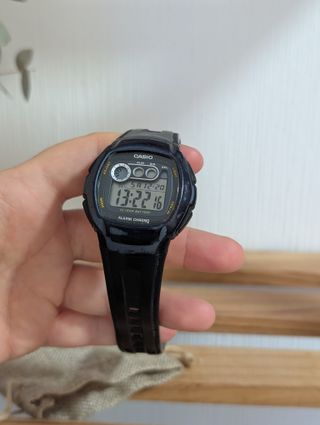 Casio W-210 Alarm Chrono 10 Year Battery