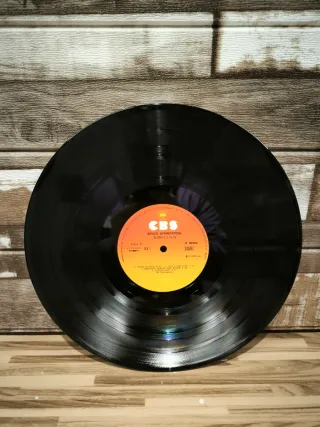 Vinilo Bruce Springsteen Born to Run