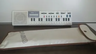 Sintetizador Casio VL-Tone VL-1 Vintage