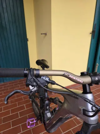 E-MTB Cannondale