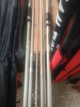 Canne e mulinelli da pesca