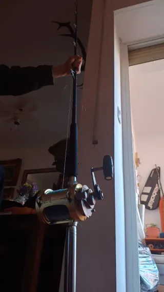 Carrete Shimano Tiagra 50W