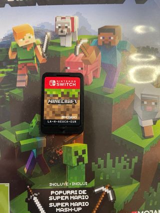 Minecraft Nintendo Switch
