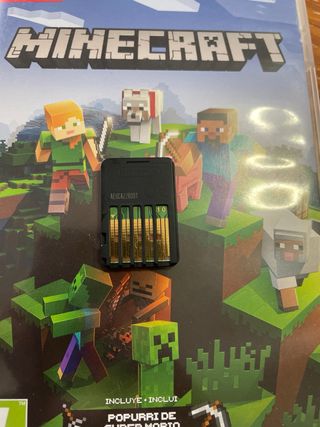 Minecraft Nintendo Switch