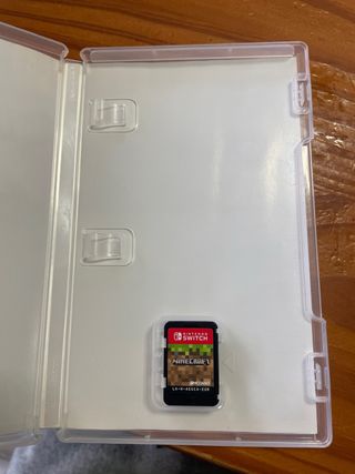 Minecraft Nintendo Switch