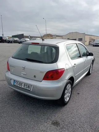 Peugeot 307 2002