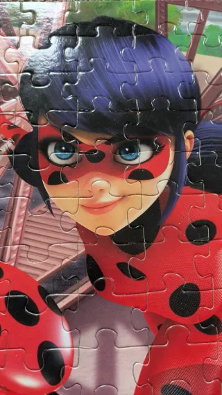 Puzzle Madera 100 Piezas Ladybug Educa