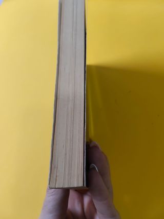 Los Mercenarios nº 02/03 La promesa del Rey Bru...