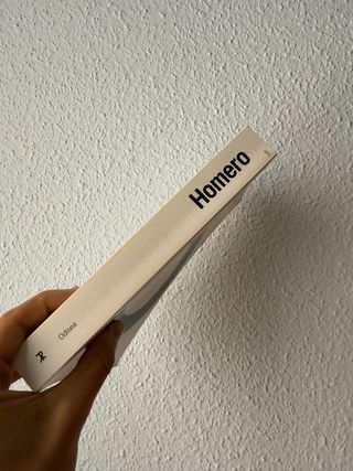 Odisea (Spanish Edition)