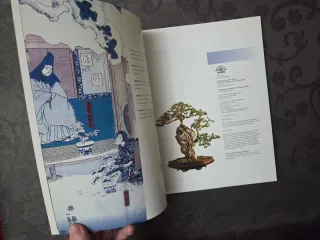 Libro Manual del Bonsai