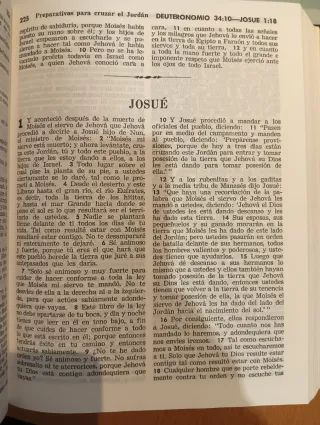 TRADUCCIÓN DEL NUEVO MUNDO DE LAS SANTAS ESCRITURA