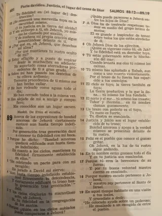 TRADUCCIÓN DEL NUEVO MUNDO DE LAS SANTAS ESCRITURA