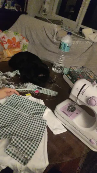 Máquina de coser multifuncional