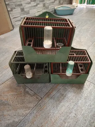 Jaulas para Jilgueros (3 unidades)