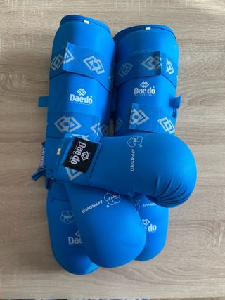 Guantes y espinilleras Dae Do azul