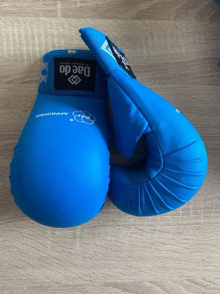Guantes y espinilleras Dae Do azul