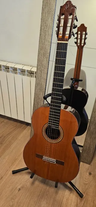 Guitarra Camps M-16C