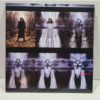 Ozzy Osbourne Down to Earth Vinilo 2025, original