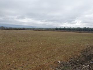 Finca rústica 12700M