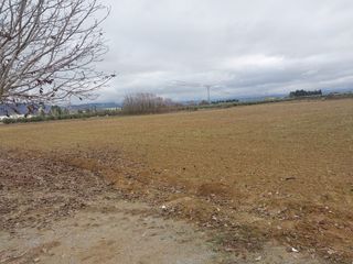 Finca rústica 12700M