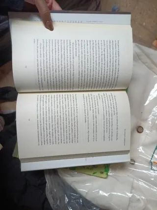 El Bosque De Los Pigmeos