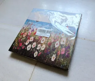 Cuadro Decorativo (NUEVO)