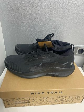 Nike Pegasus Trail 5 GTX Negro