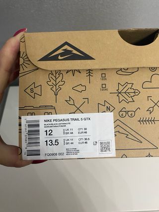 Nike Pegasus Trail 5 GTX Negro